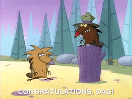 nickrewind nicksplat angry beavers GIF