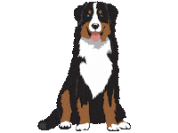BARKHAVEN barkhaven barkhavendogbar barkhavendogs orlandodogbar Sticker