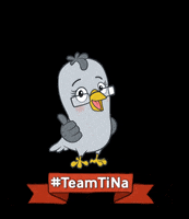 tinamachtschule nachhaltigkeit spenden tierschutz bildung GIF