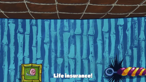 season 10 episode 6 GIF by SpongeBob SquarePants