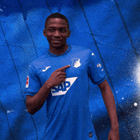 Sport Logo GIF by TSG Hoffenheim