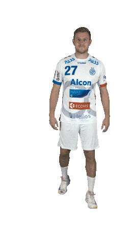 tvgrosswallstadt giphyupload handball applaus großwallstadt Sticker