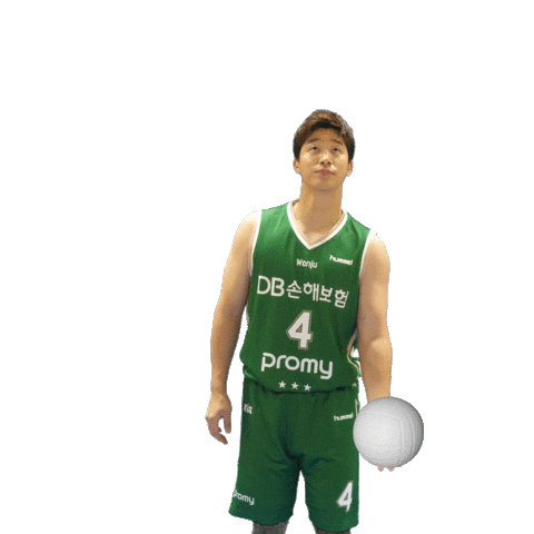 원주Db Sticker