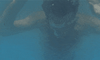 GIF by Fandor