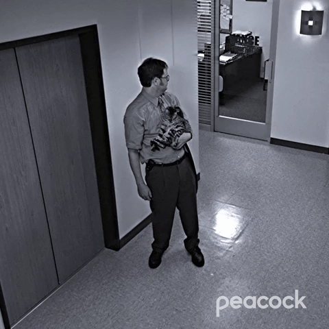 Dwight Ditches Garbage, the Cat