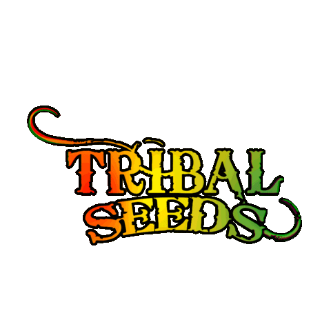 Bob Marley Reggae Sticker by Tribal Seeds