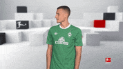 Show Me What GIF by Bundesliga