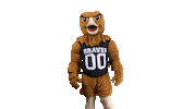 Mascot Pembroke Sticker by UNCP Braves Athletics