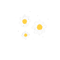 meeracles flowers doodle doodles daisies Sticker