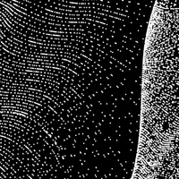 Black And White Loop GIF by xponentialdesign