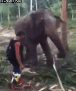 fail home video GIF by Cheezburger