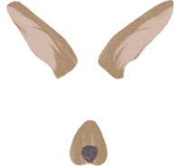 Kangaroo Sticker by Sydney Living Museums