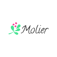 Heart Marca Sticker by Molier