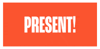 BNO design amazing 2019 present GIF