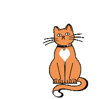 Cat Play Sticker by GPD Film Studio