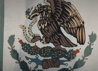 world cup mexico GIF by Major League Soccer