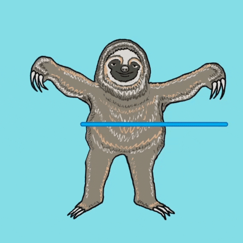 wry_fungi sloth hulahoop GIF