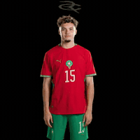 Fifa World Cup Morocco GIF by Respective