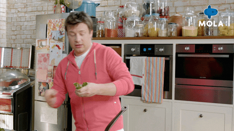 Happy Fun GIF by MolaTV