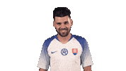 Slovakia Duris Sticker by Slovensky futbalovy zvaz
