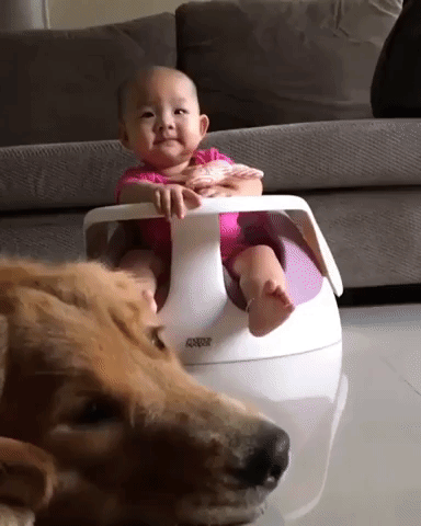 Baby and Dog Try to Join Dad in Singing