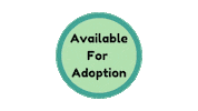 Adoption Adopt Sticker by Camp Cocker Rescue
