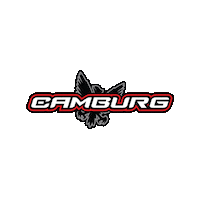 Travel Team Sticker by Camburg Racing