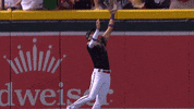 Happy Major League Baseball GIF by MLB