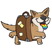 Dog Summer Sticker by Pummeleinhorn
