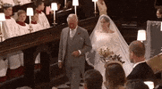 royal wedding GIF by BBC