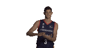 Swipe Up Liga Endesa Sticker by ACB