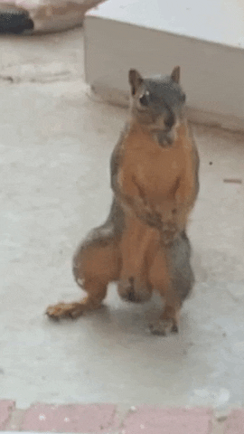 Big Balls Reaction GIF by Tricia  Grace