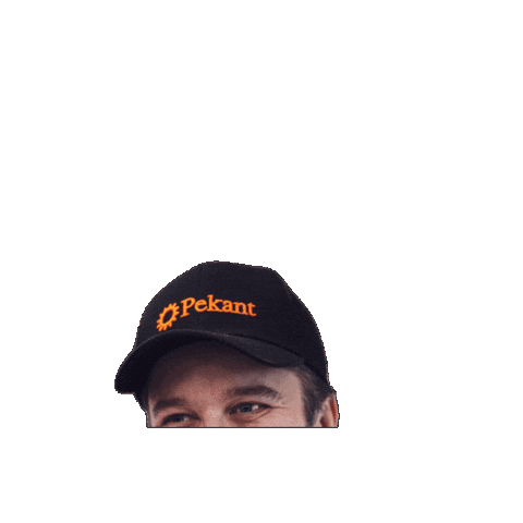 Heavy Duty Finland Sticker by Pekant