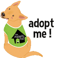Dog Adopt Sticker by theanimalpad
