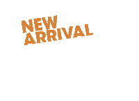 Fly Arrival Sticker by Azaleia