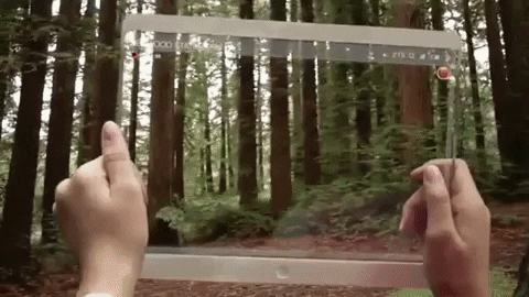 evolutionmusicru giphygifmaker GIF
