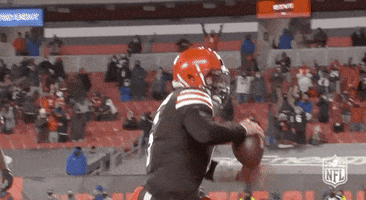 Regular Season Football GIF by NFL