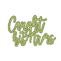 Vc Sticker