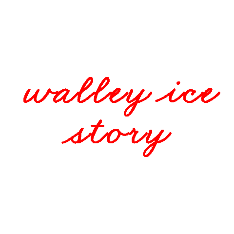 WalleyIceSkating giphyupload walley walley ice skating Sticker