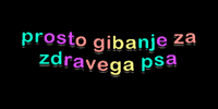 Tek Zdravje GIF by Snof_pasjasola