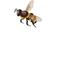 Bee The Future Sticker by EatalyIt