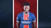 France Love GIF by Paris Saint-Germain Handball