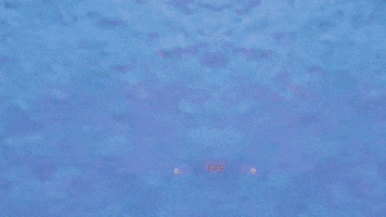 How You Been GIF by Nevi