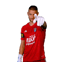 Football Soccer Sticker by Nike liga