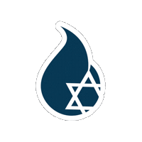 Mda Sticker by Magen David Academy