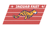 Track And Field Sticker by Saint Theresa Bilingual School