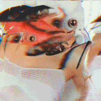 pattern vibes GIF