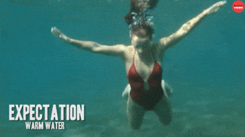 Beach Expectation Vs Reality