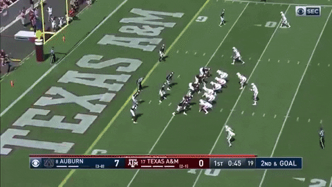 zdunn giphygifmaker GIF