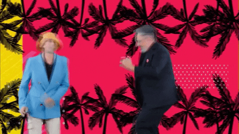 GIF by Taskmaster Portugal